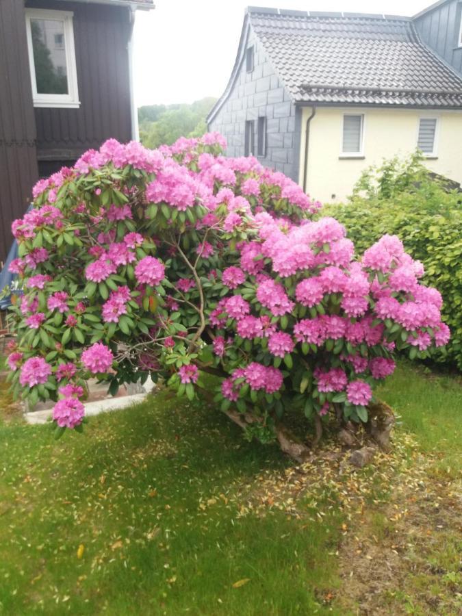 Haus Bergeshoeh Braunlage Eksteriør bilde